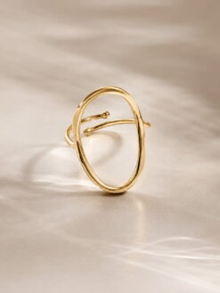 Anillo acero dorado - Imagen 2